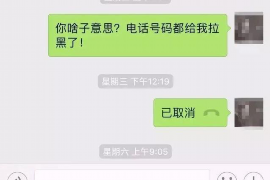 衡水为什么选择专业追讨公司来处理您的债务纠纷？